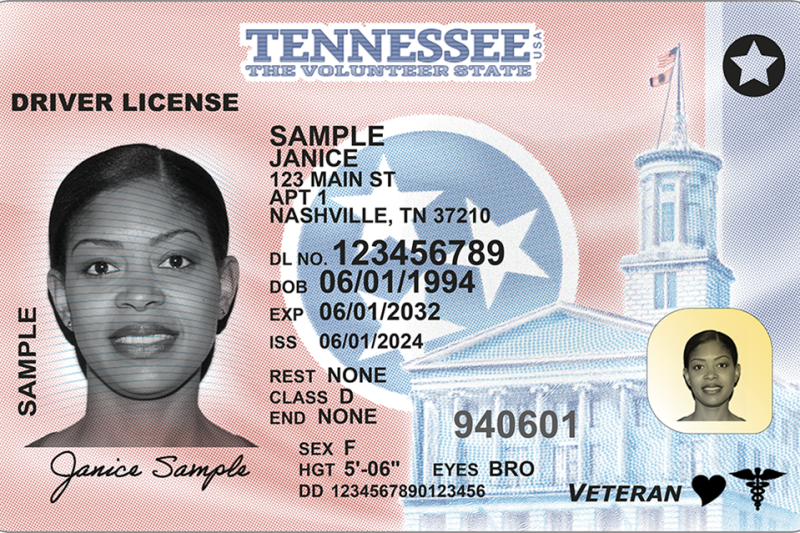 How to Renew TN Driver’s License : Everything You Need to Know for 2025