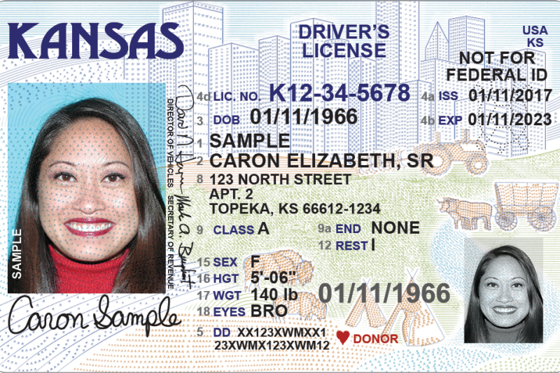 Kansas Driver’s Licence Renewal: Everything You Need to Know for 2025