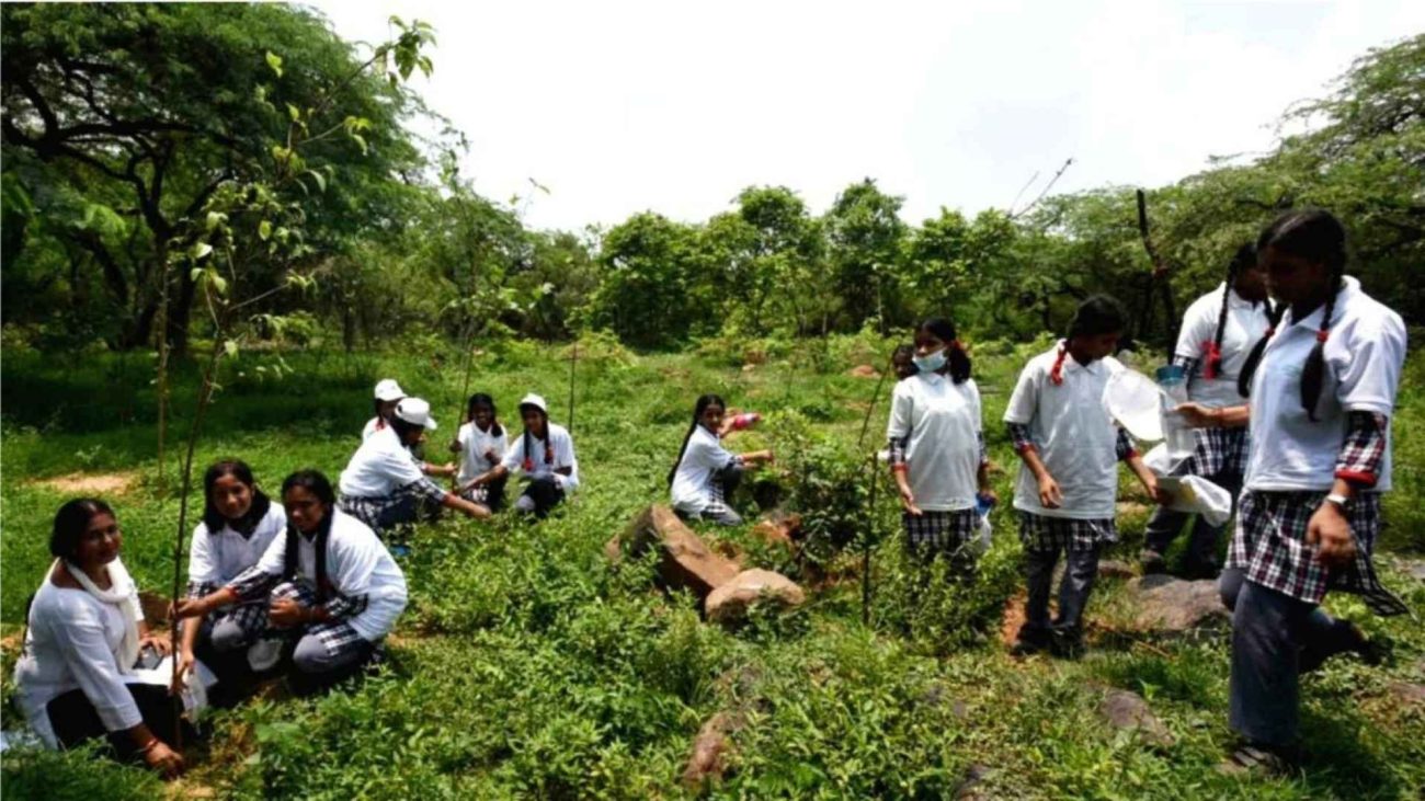 Plantation Drive