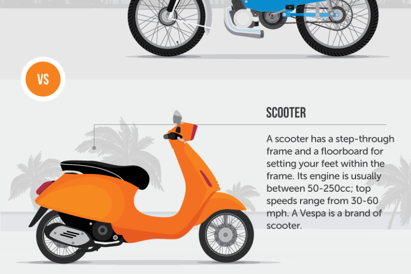 Do You Need a Driver’s License to Drive a Moped? Everything You Need to Know